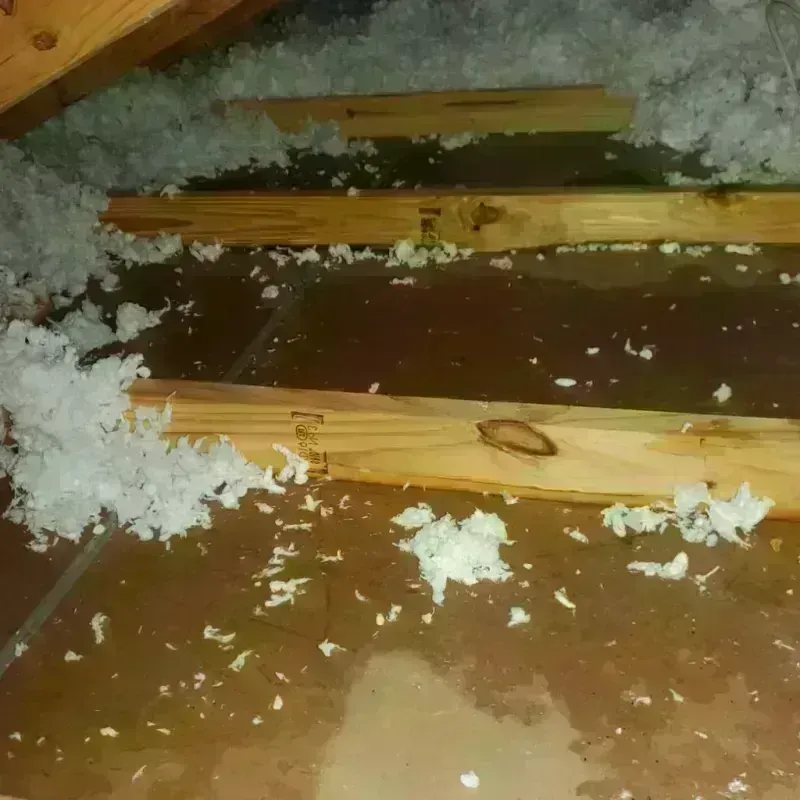 Attic Water Damage in Rose Lodge, OR